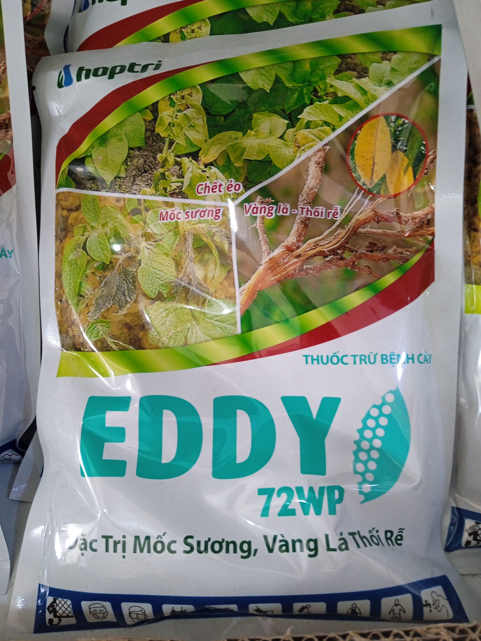 Eddy 72wp – thuốc đặc trị bệnh mốc sương, thối gốc, vàng lá cho cây trồng gói 300gr