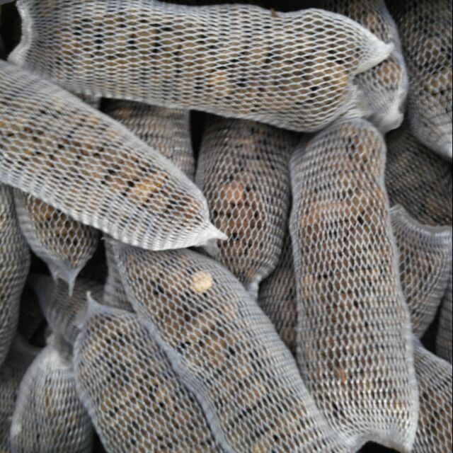 [ Túi Lưới 10cm ] Combo 10 Túi Phân Dê Túi Lưới - Phân Bón Hữu Cơ - Đã Qua Xử Lý Cho Hoa Lan - Cây Cảnh