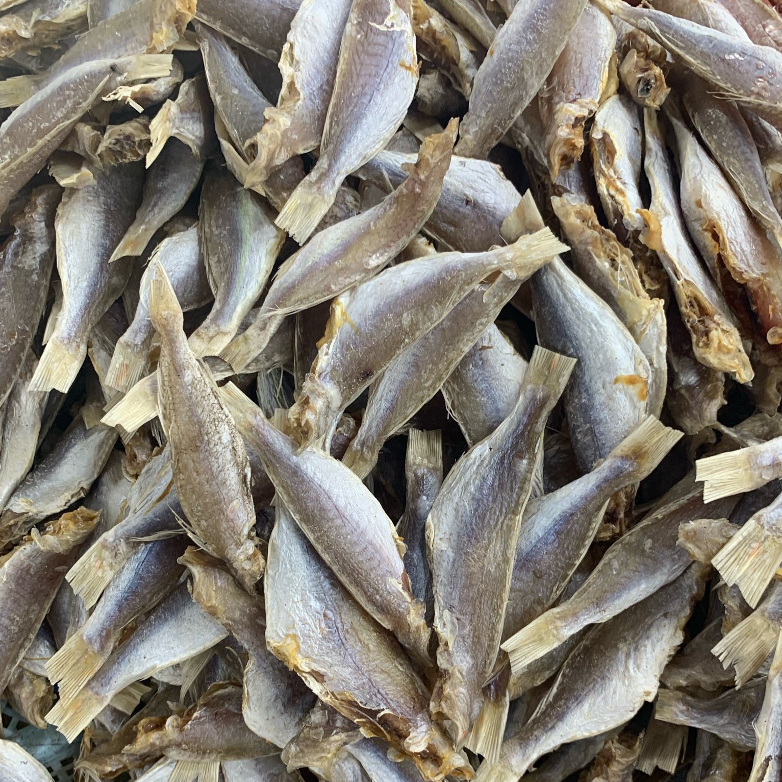 1kg, 500gr, 200gr, 100gr khô cá đù. đặc sản cà mau. cá đù phơi sấy tự nhiên. chế biến nhiều món ăn đa dạng với khô cá đù - minhkienfoods