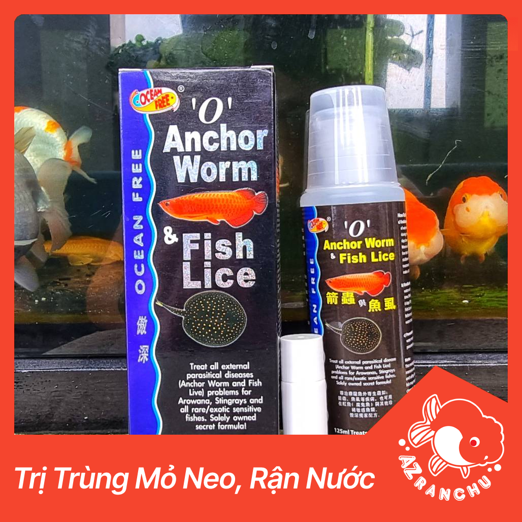 Anchor Worm & Fish Lice - Chai số 0 Cá rồng | Diệt trùng mỏ neo và rận nước - AZRanchu