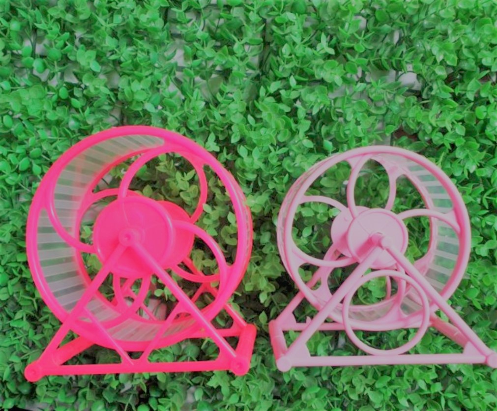 Wheel cho hamster 16cm lớn