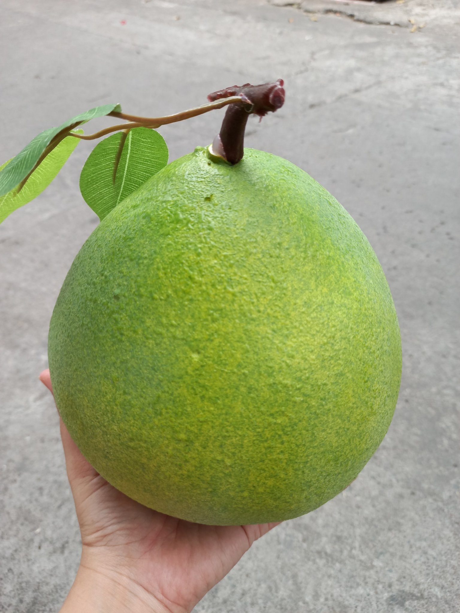 [HCM]1 Quả bưởi size lớn - trái cây giả - Hương Flower