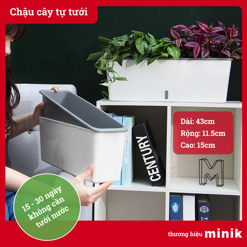 Chậu trồng cây tự dưỡng MINIK, thiết kế mỏng, thích hợp để ban công, cửa sổ, chậu thông minh 2 lớp tự tưới, 10-21 ngày không cần tưới nước