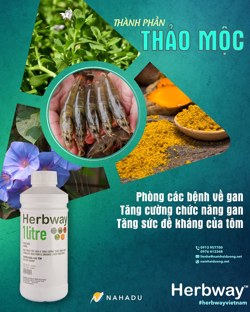 BẢO VỆ & TĂNG CƯỜNG CHỨC NĂNG GAN CHO TÔM HERBWAY THẢO DƯỢC - THÙNG 2 CHAI 1L