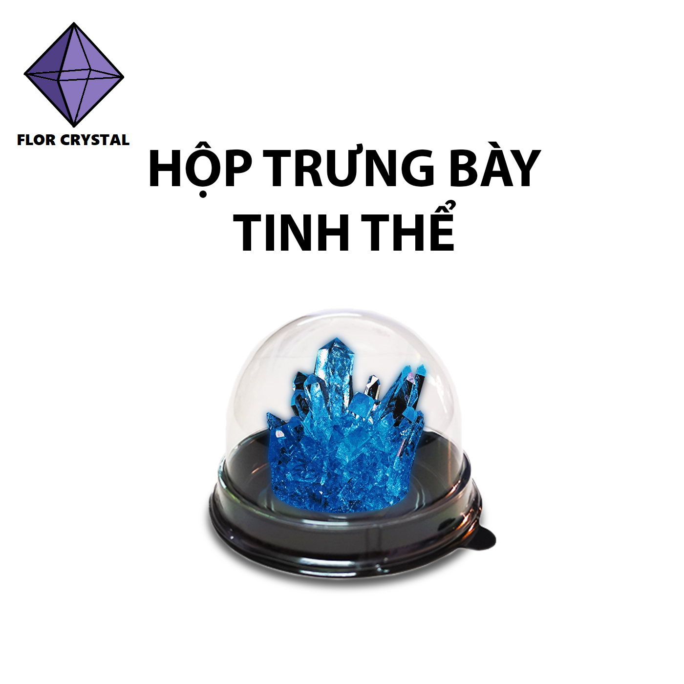 Hộp nắp cầu trưng bày bánh, tinh thể