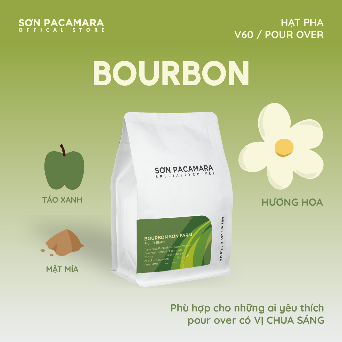   New Crop 2025  Specialty Coffee Gói Bourbon Sơn Pacamara 100% Arabica Đà Lạt Vị Chua Sáng Rang Nhạt Gói 250gr   500gr 