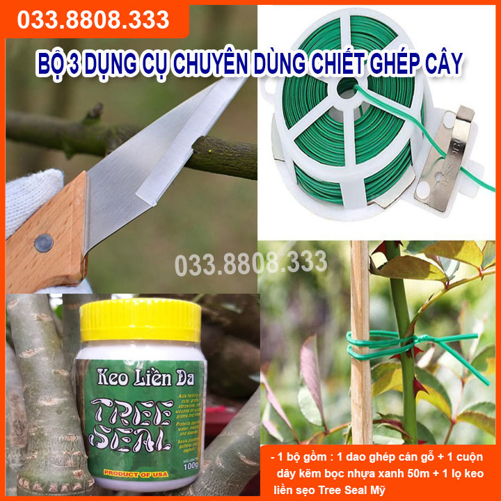 Bộ đồ dùng chuyên ghép uốn cây