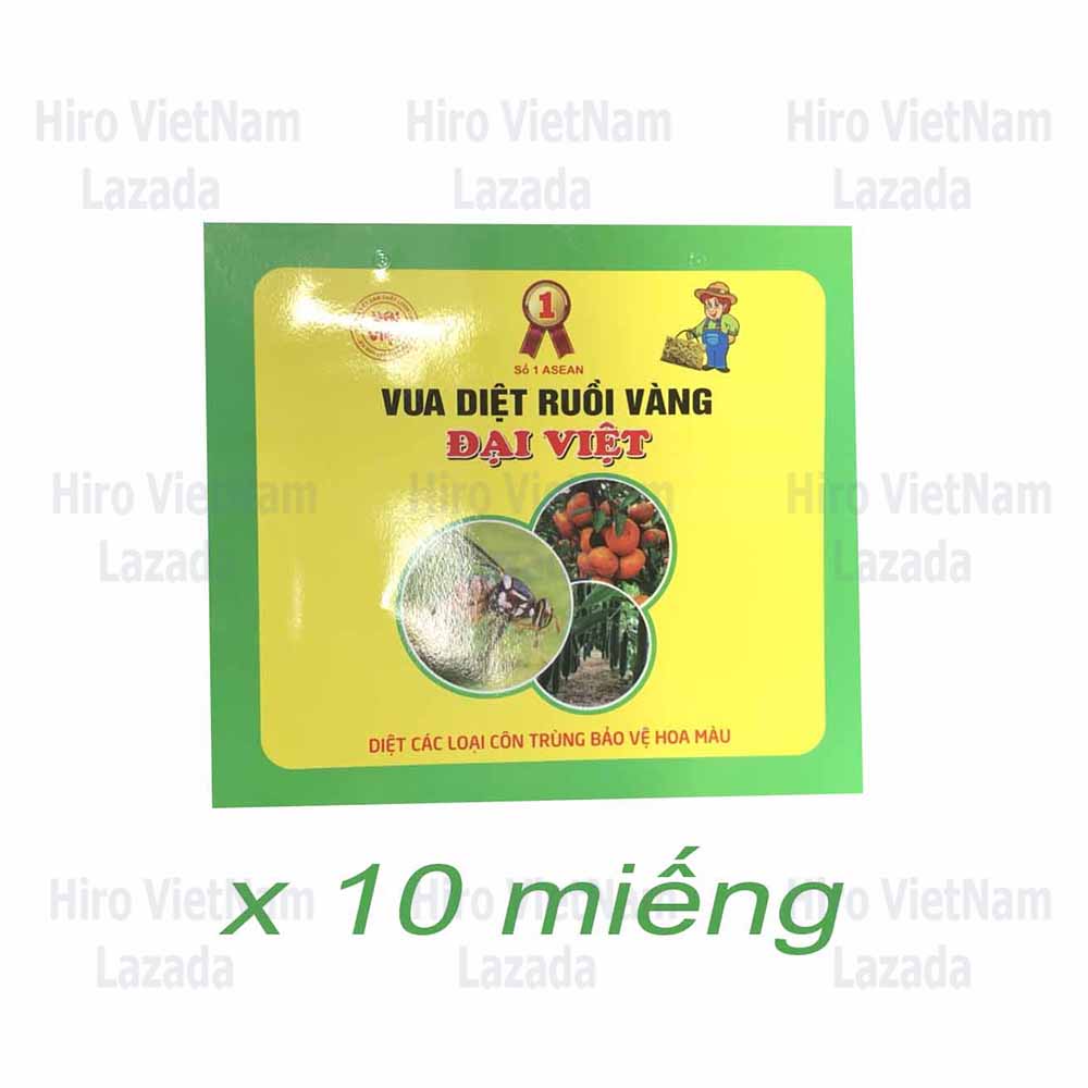 Keo dính ruồi vàng – diệt sạch ruồi vàng – nhiều keo, bền suốt cả vụ