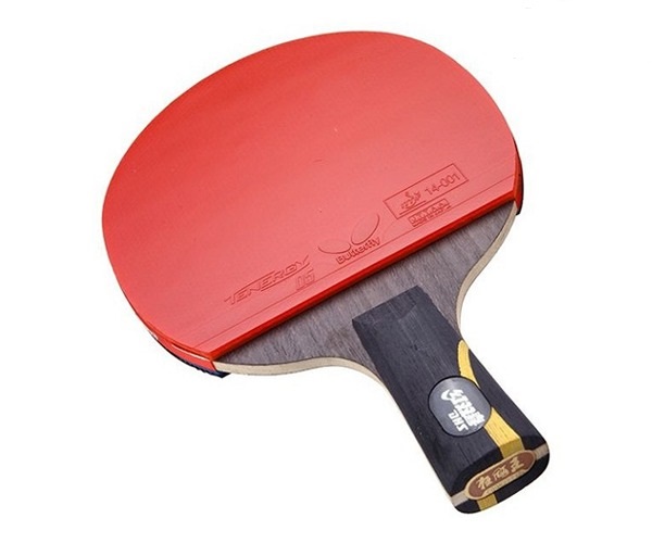Vợt bóng bàn DHS Hurricane + tặng kèm túi đựng vợt cao cấp