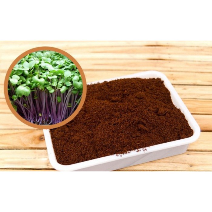 Mùn dừa đã xử lý trồng rau mầm, ươm cây, trộn đất trồng cây rất tốt