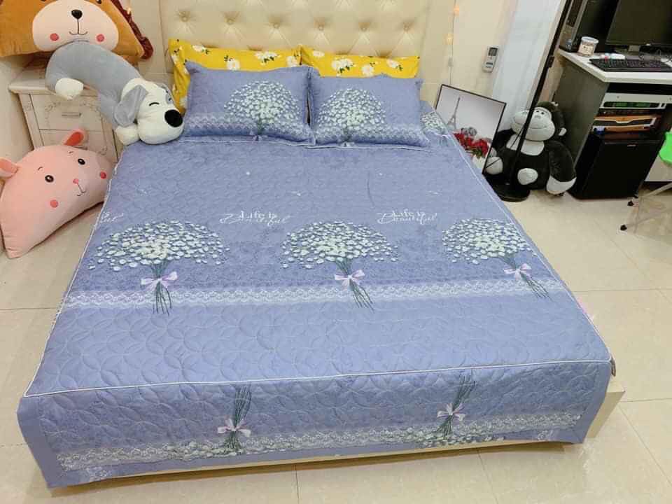 Set 3 ga gối - Bộ ga chun và 2 vỏ gối chất Cotton Poly họa tiết hoa baby
