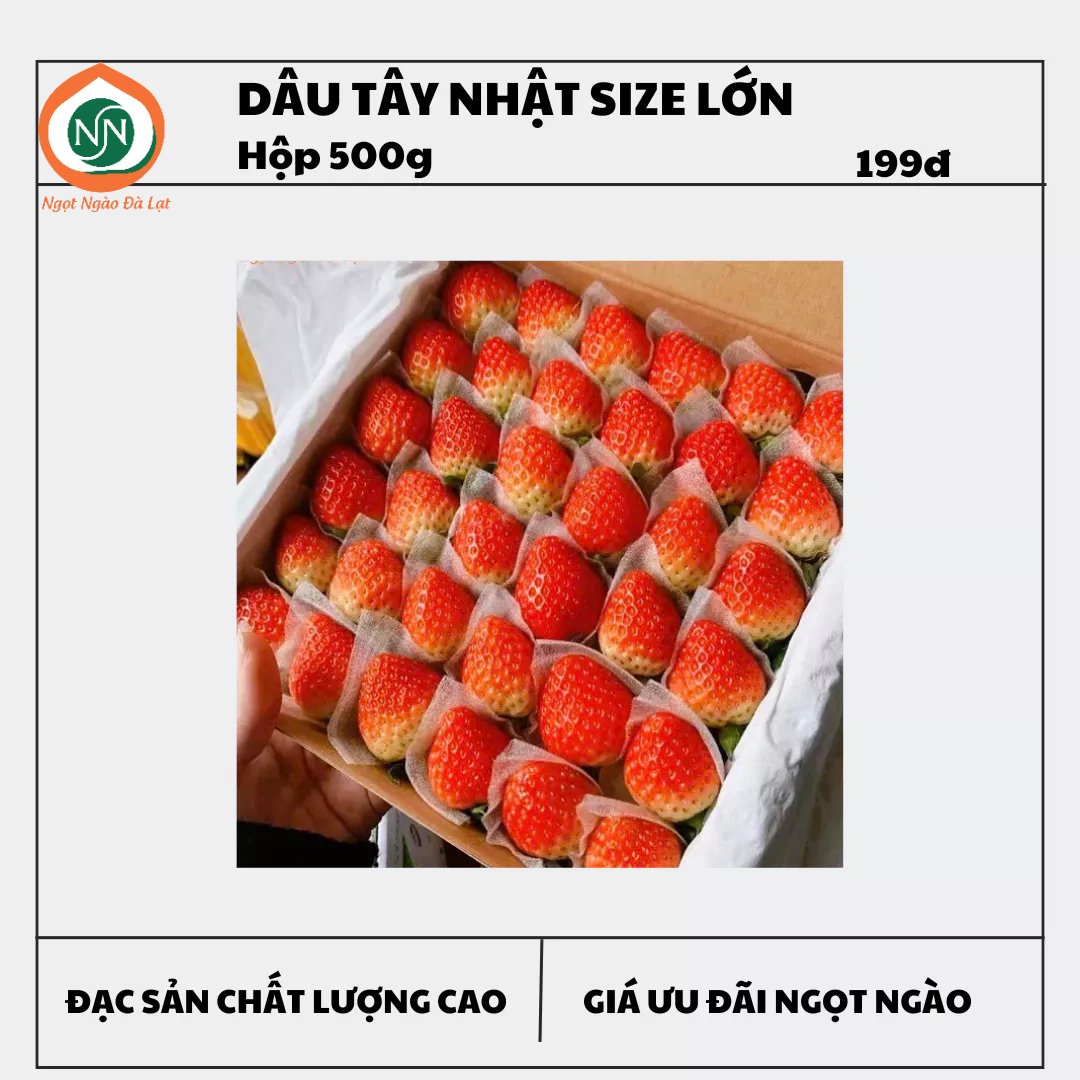 Dâu tây Nhật hữu cơ Đà Lạt |NGỌT NGÀO ĐÀ LẠT Store| Hộp Size 36 khối lượng 500g
