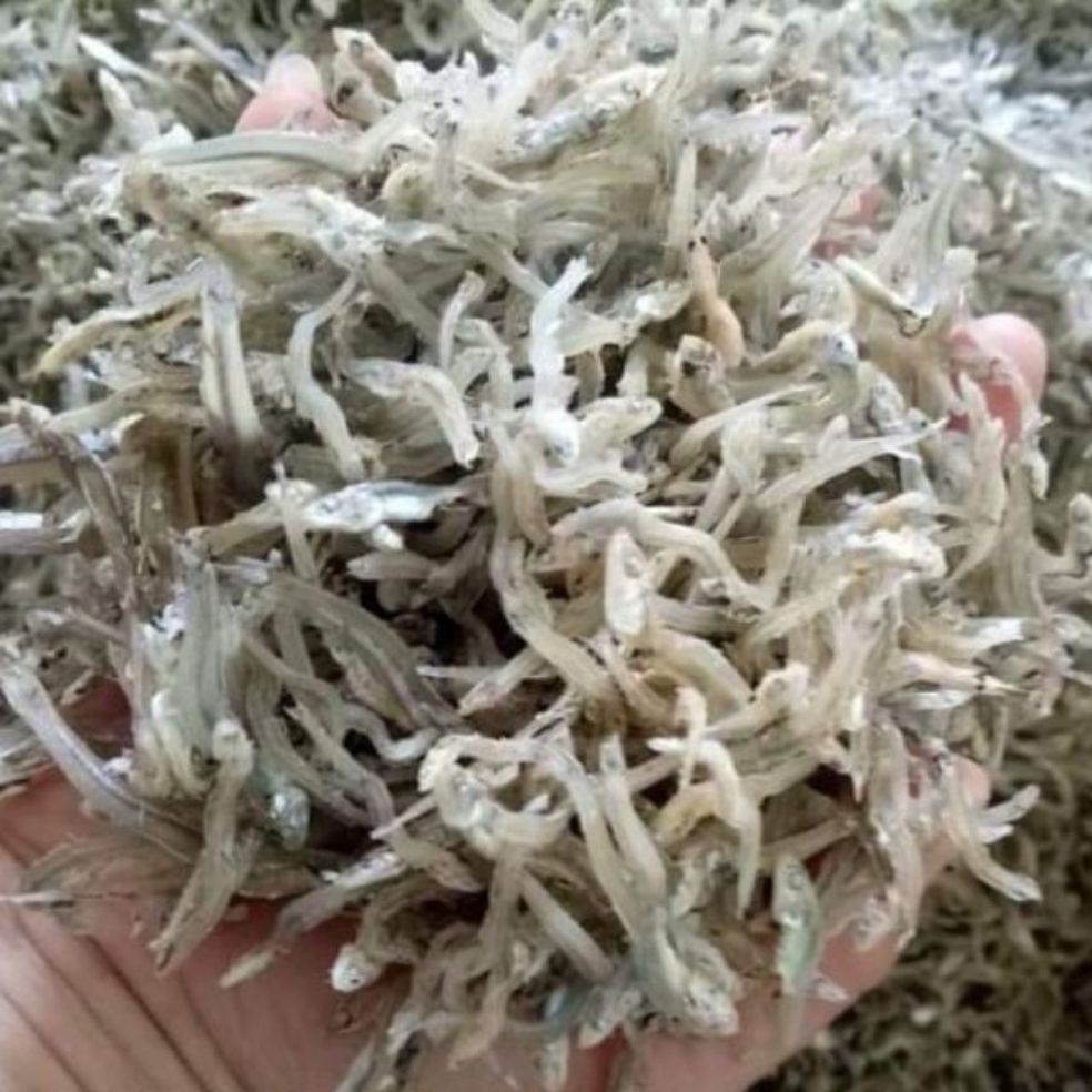 1kg đặc sản cá cơm mờm sữa loại ngon