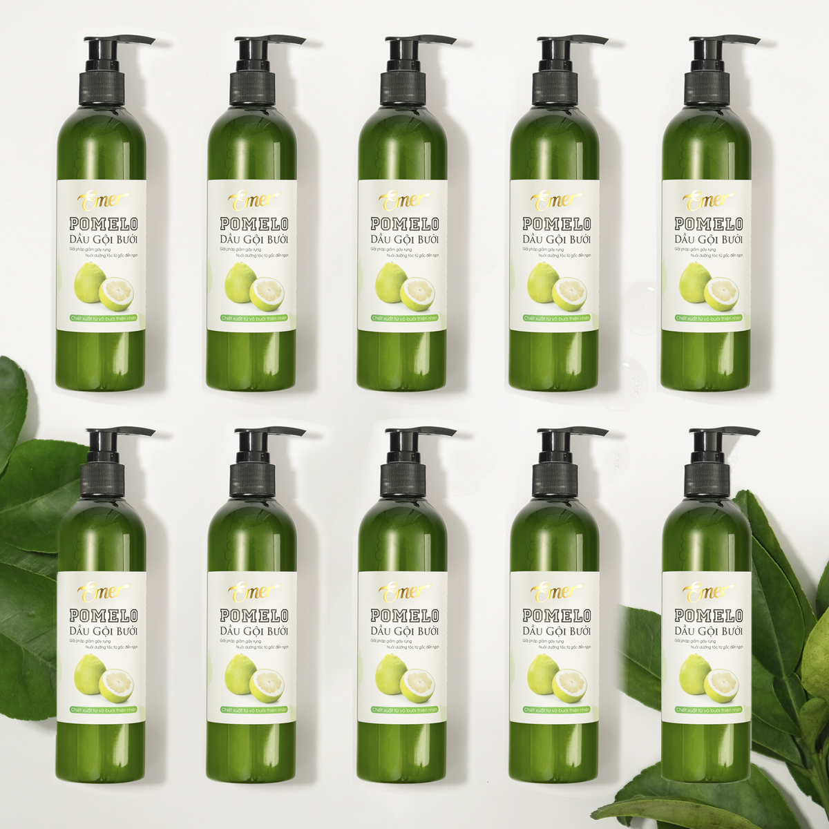 Bộ 10 chai dầu gội bưởi kích mọc tóc POMELO EMER giảm rụng tóc kích thích mọc tóc giúp tóc nhanh dài chắc khỏe và suôn mượt tự nhiên BA TU SHOP