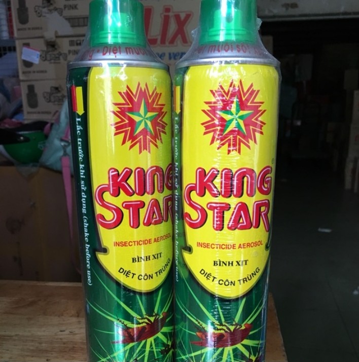 2 Bình xịt muỗi, kiến, côn trùng KING STAR 600ml