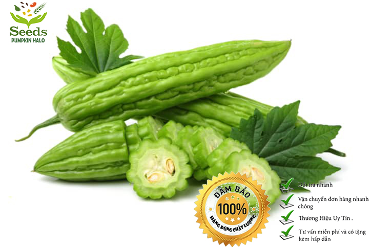 Hạt giống khổ qua mỡ trái dài tissa 373 -gói 2gr -dễ trồng mướp đắng hàng công ty