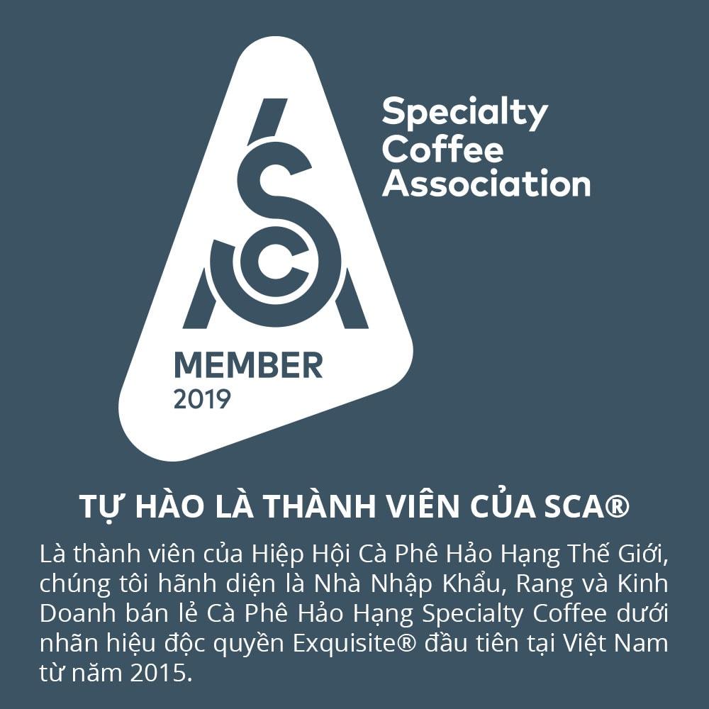 908g cà phê bột thunder no.3 pha phin gu việt - 1864 café 5