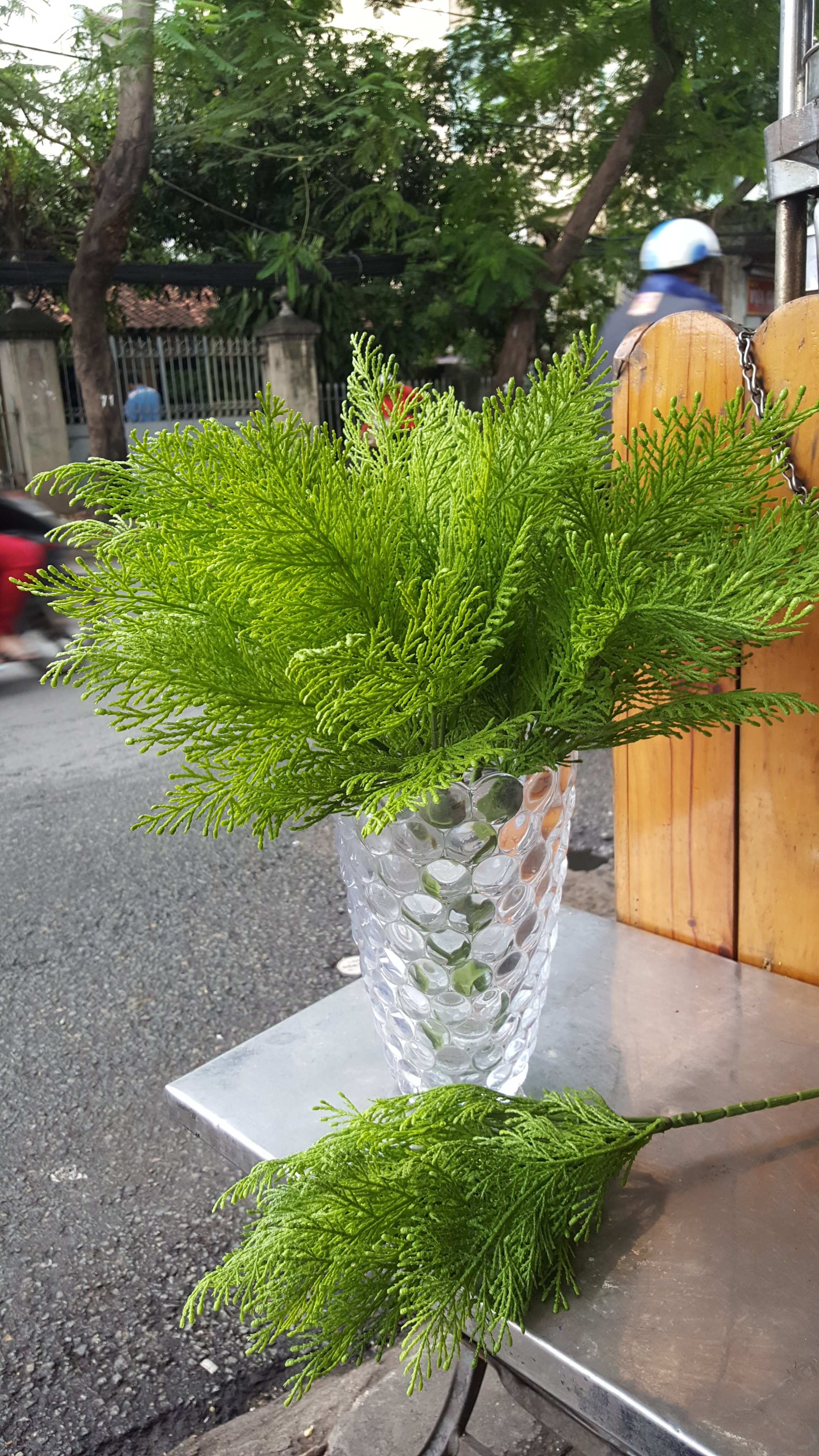 [HCM]1 cành lá thuộc bài giả 5 nhánh - Hoa giả - Hương Flower