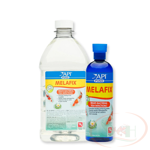 Thuốc trị khuẩn API Pond Melafix xử lý bệnh kháng khuẩn dưỡng cá tép cảnh