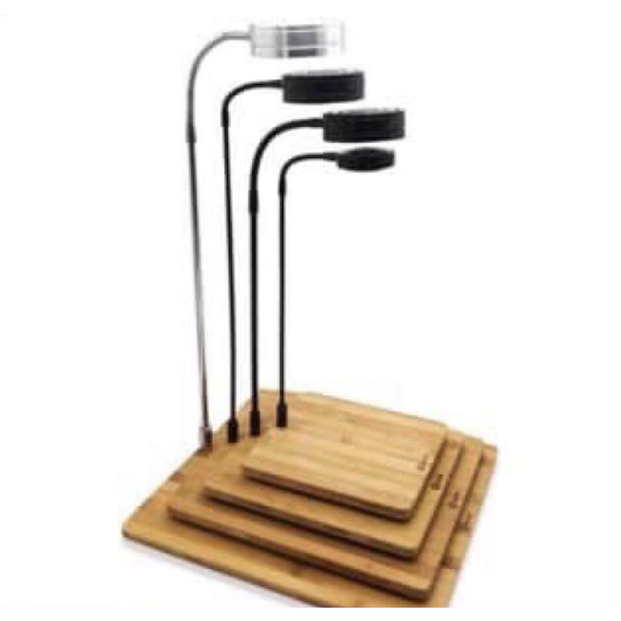 Đèn led rọi bamboo đế gỗ tròn hoặc vuông cho hồ cá, terrarium