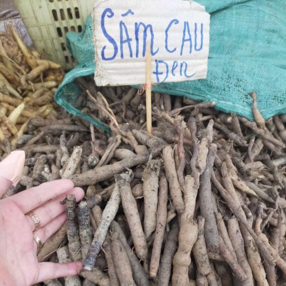 Sâm Cau Đen 1Kg (Sâm Tiên Mao)