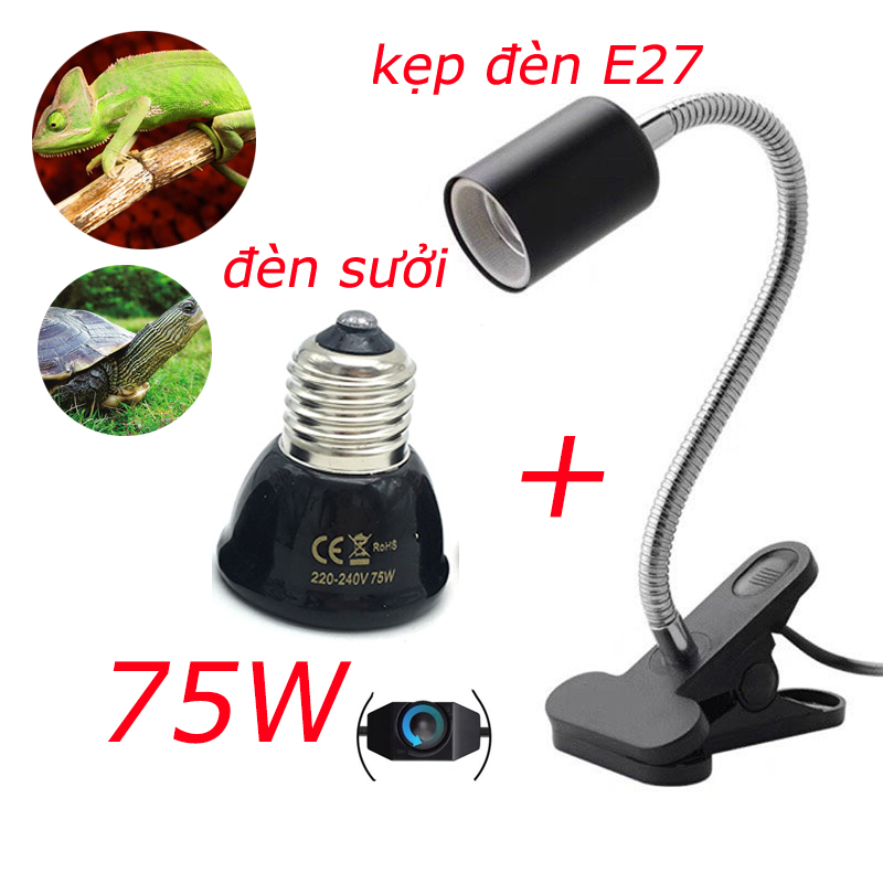 Bóng đèn sưởi cho rùa và bò sát 75w-đèn sưởi ấm sứ-diện tích chiếu xạ lên 1.5㎡-kèm kẹp đèn xoay 360 độ-giá sỉ chất lượng cao
