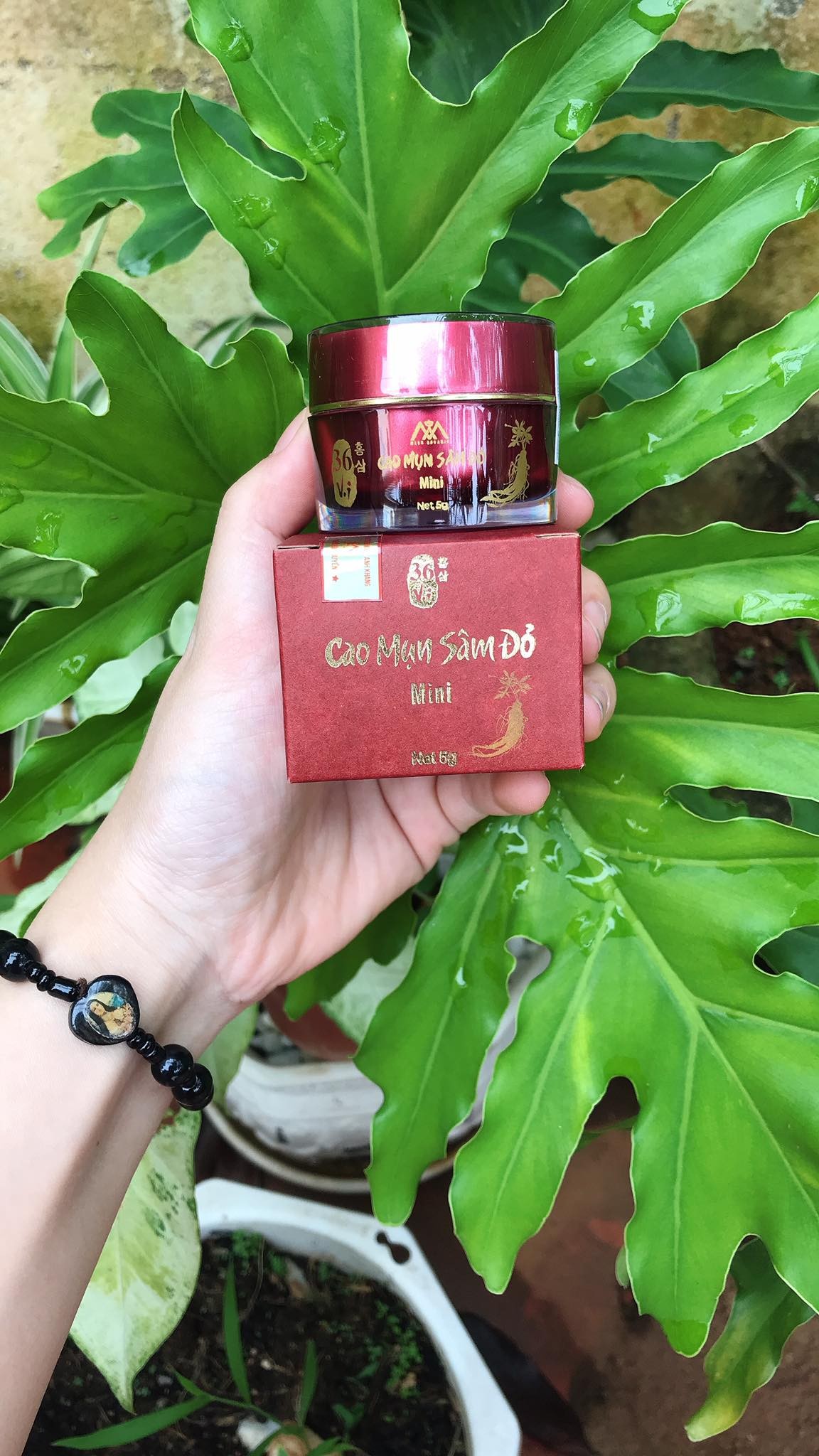 CAO MỤN SÂM ĐỎ MINI 5g - cao mụn sâm đỏ mini