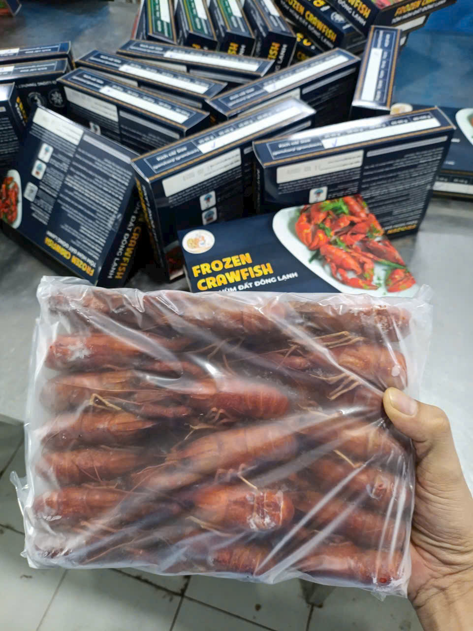 TÔM HÙM ĐẤT - Hộp 1kg size 20-30 con (giao HCM)