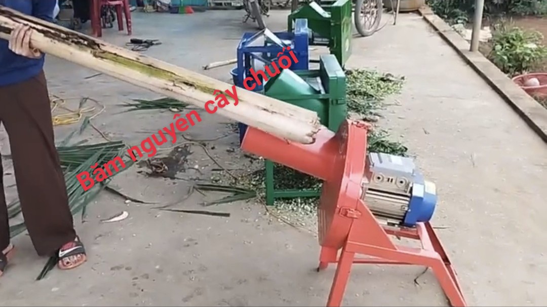 Máy băm chuối mịn gắn mô tơ 1,5kw(2HP)