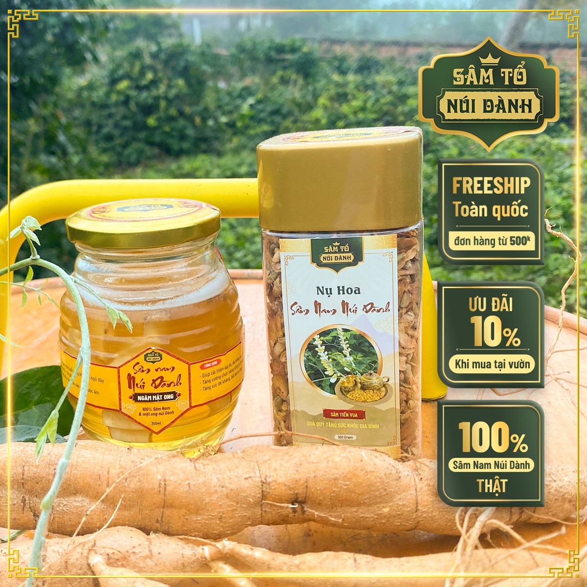 Combo sâm nam núi dành ngâm mật ong 350ml + nụ hoa sâm nam núi dành 200gr - sâm tổ núi dành