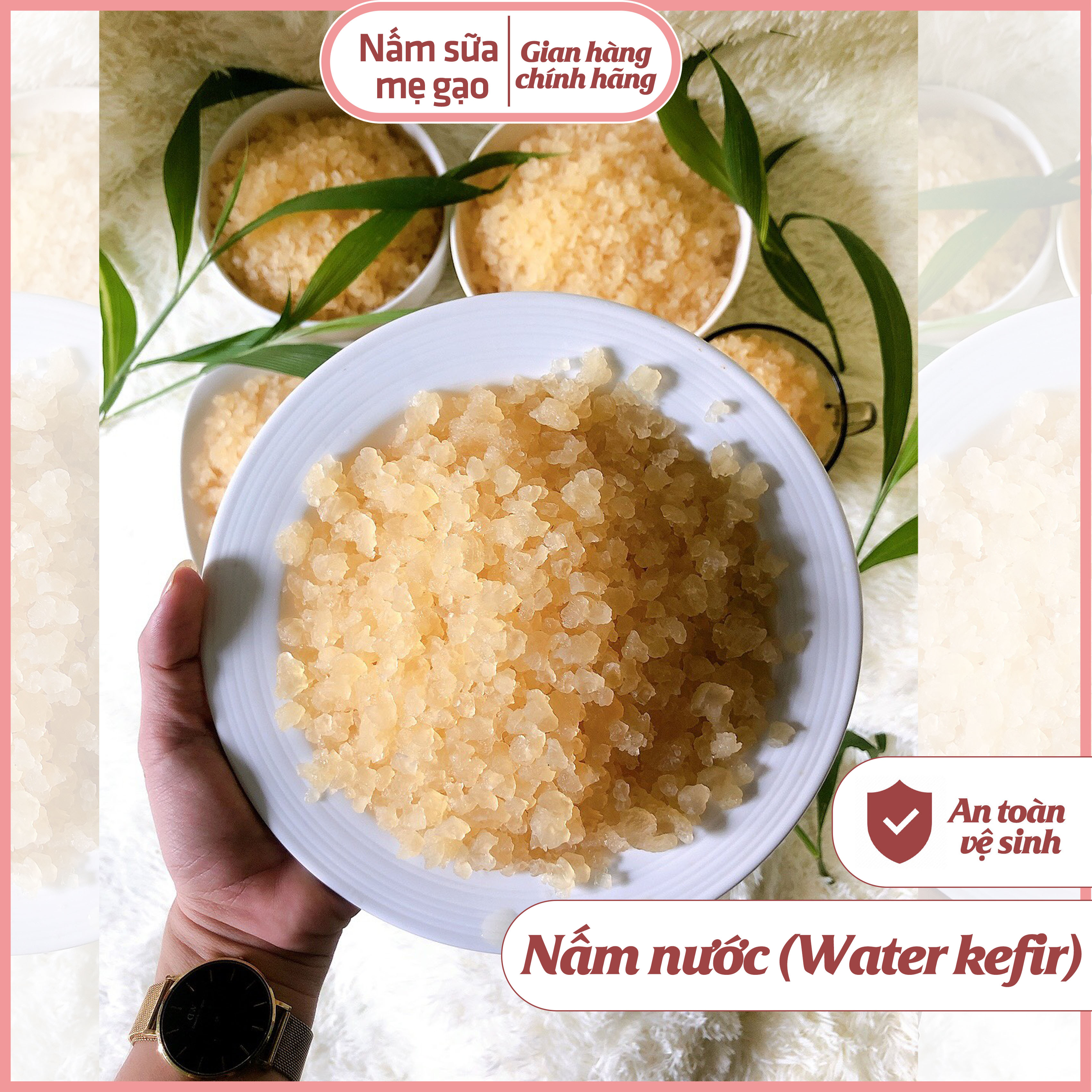 Nấm nước Nấm Sữa Mẹ Gạo - nấm nước kefir dừa thơm ngon tốt cho sức khỏe