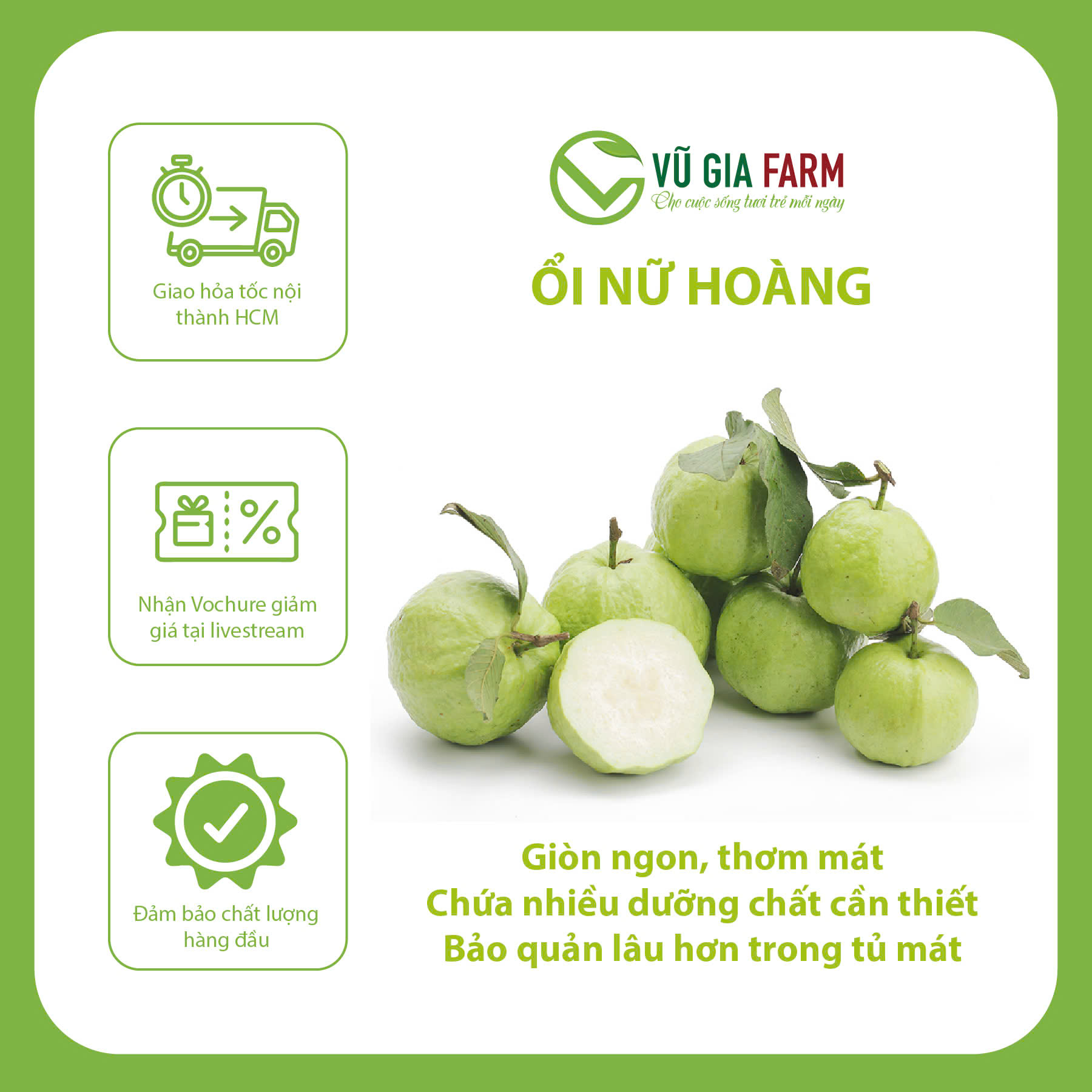 [HCM] Ổi Nữ Hoàng – ngọt thanh, giòn, ít hạt