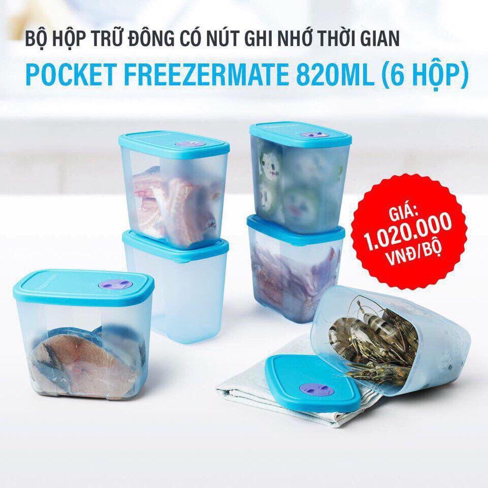 Set 6 Hộp Trữ Đông Freezermate Pocket 820ml