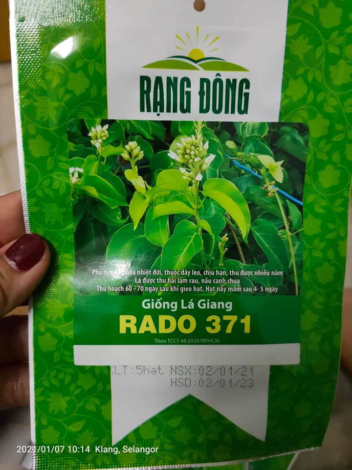 Set 02 gói hạt giống lá giang rado 371 gói 5 hạt chịu hạn