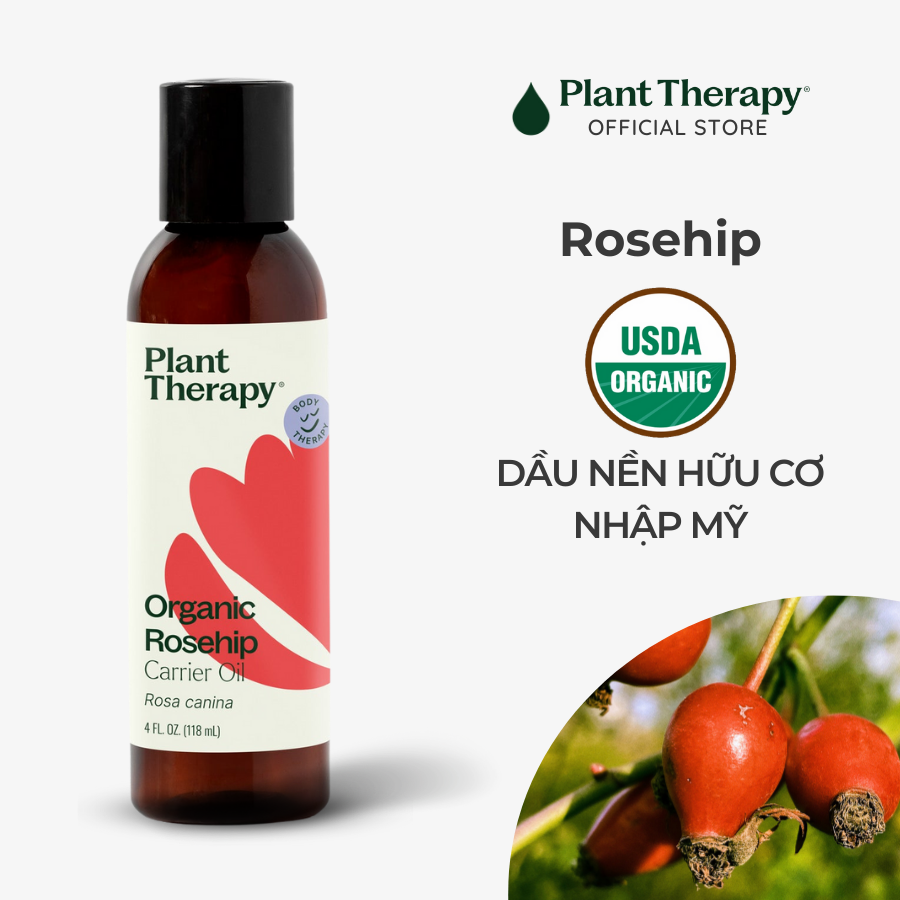 Dầu Tầm Xuân hữu cơ (Extra Virgin Rosehip) nguyên chất Plant Therapy - USDA Organic Carrier Oil 118mL