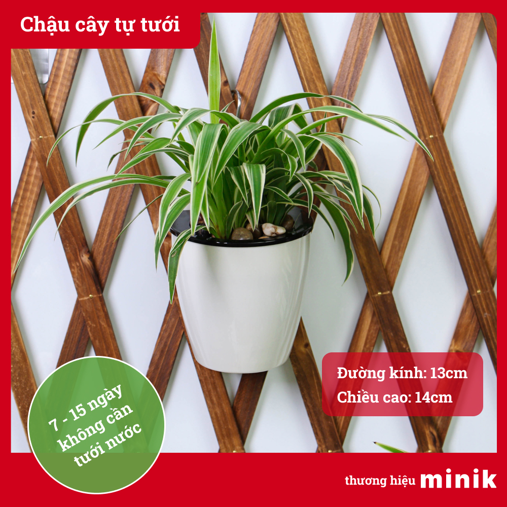 Chậu trồng cây treo tường tự dưỡng MINIK, chậu cây thông minh tự tưới, 7-14 ngày không cần tưới nước, size 13cm x 14 cm