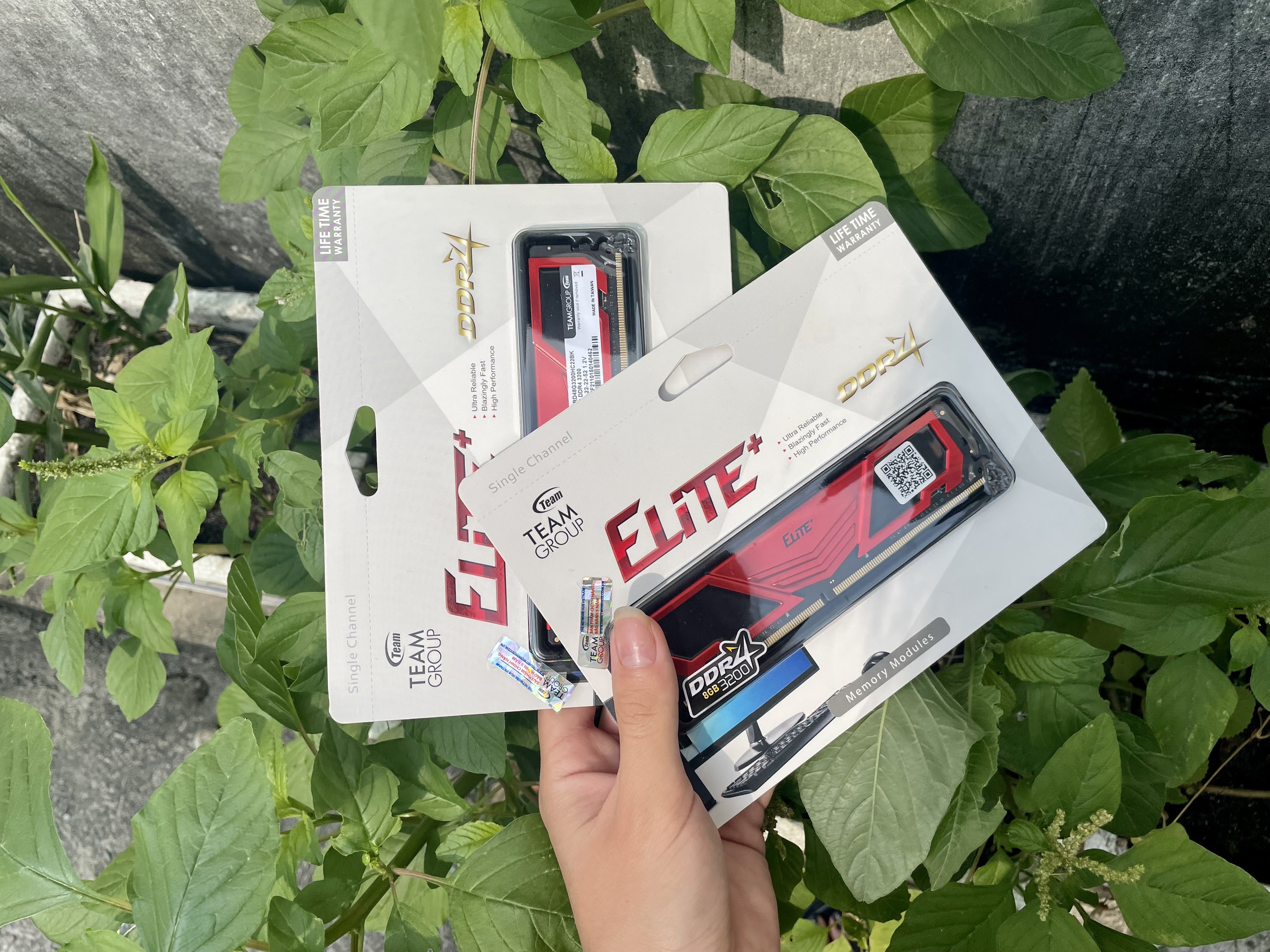 Ram ddr4 team 8g/3200 elite plus