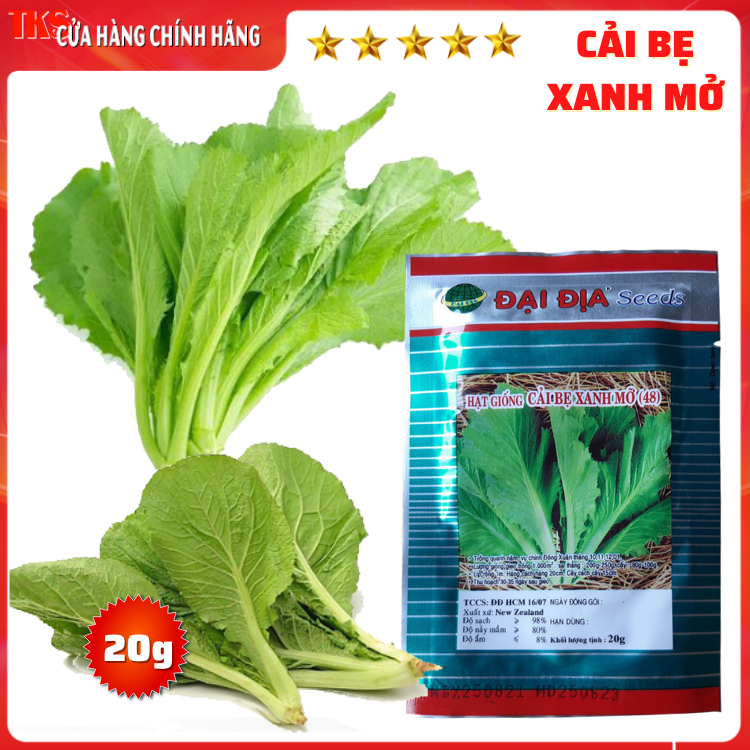 20g hạt giống rau cải bẹ xanh mỡ: dễ trồng, giàu dinh dưỡng