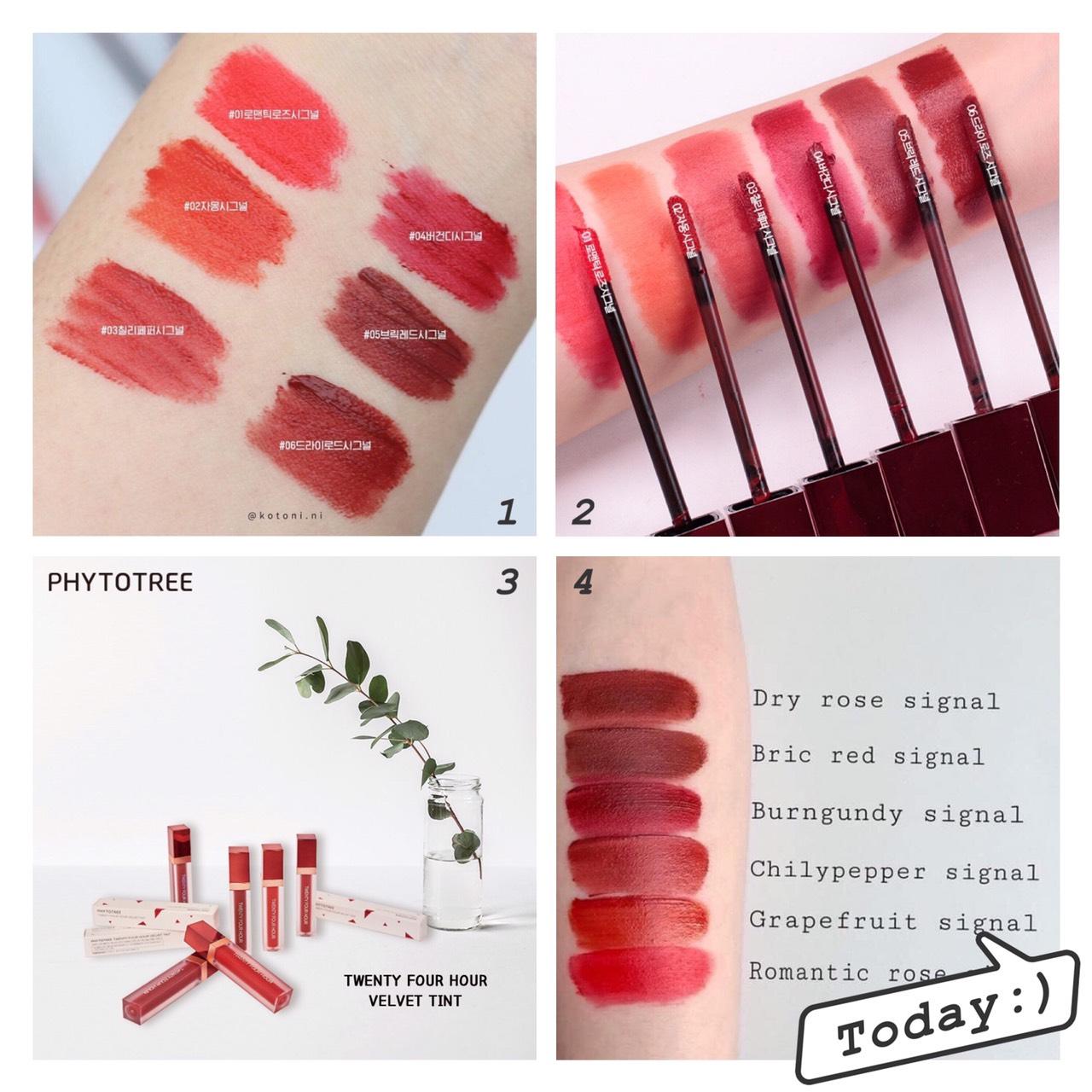 Son Kem Lì Phytotree Twenty Four Hour Velvet Tint 6g