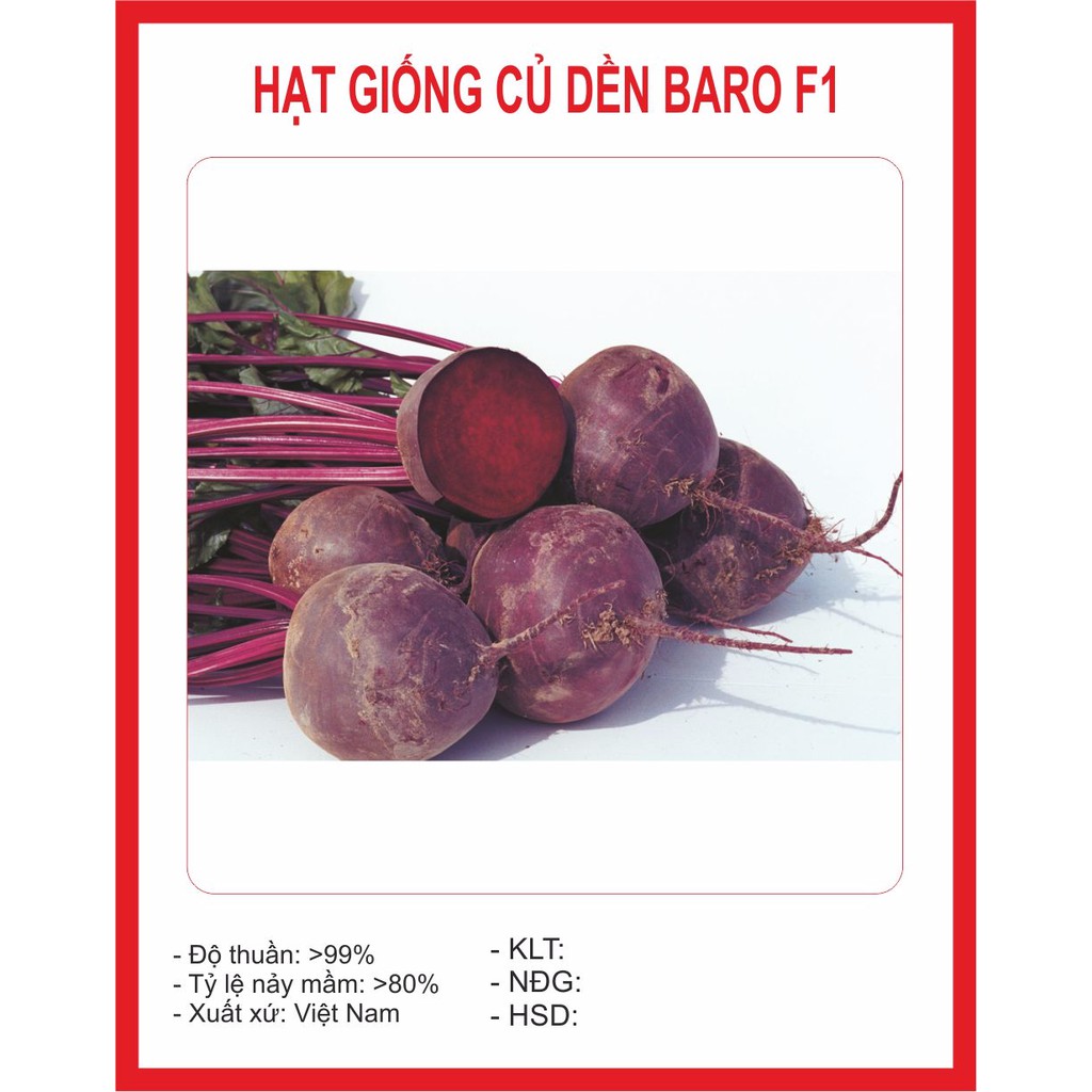Hạt giống củ dền 2gram