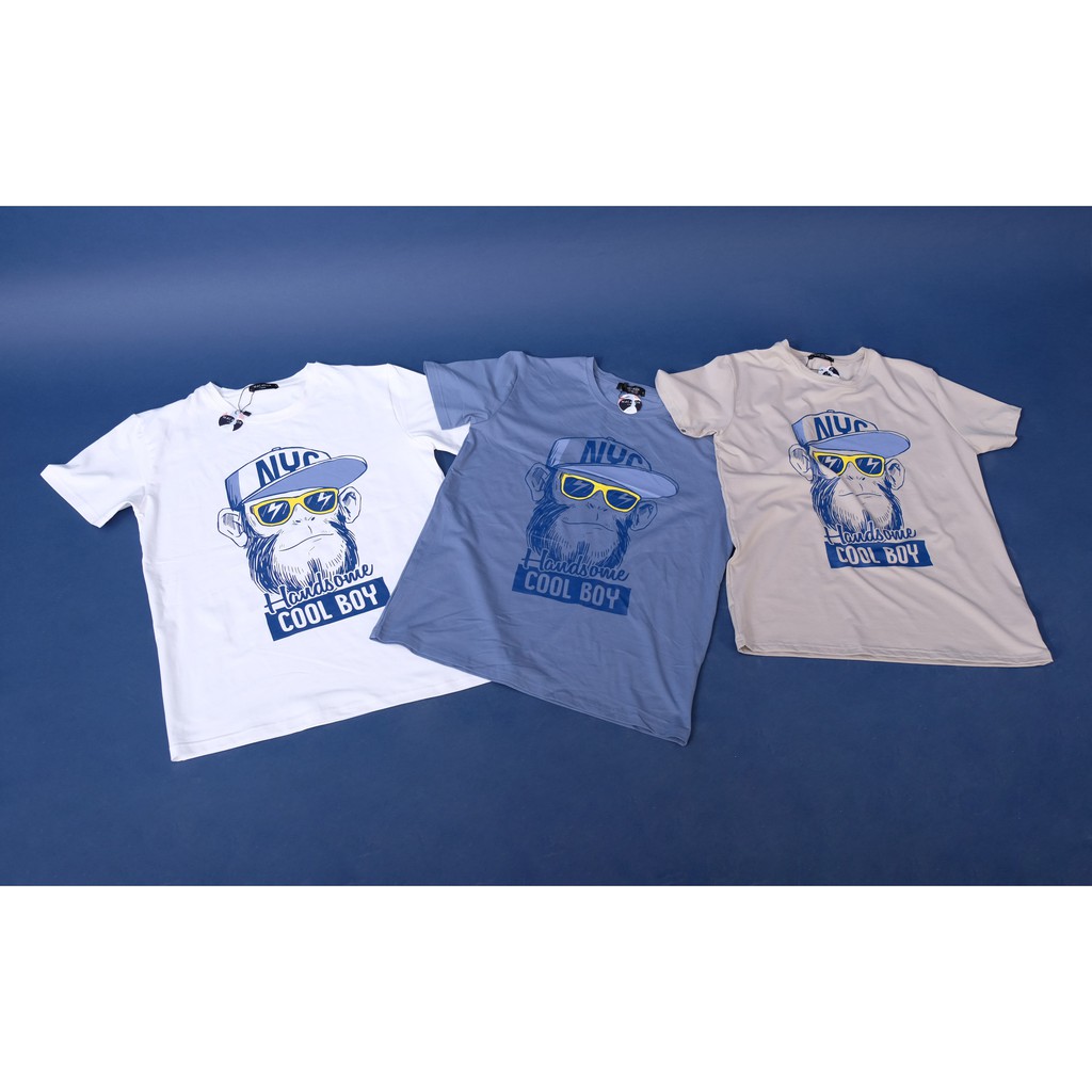 Áo Thun Form Rộng Cotton Bốn Chiều Handsome Cool Boy Macaron T-shirt