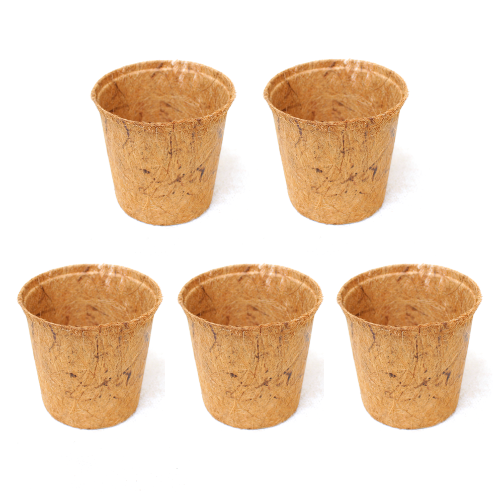 Bộ 5 Chậu Xơ Dừa tự nhiên 12x11.3cm