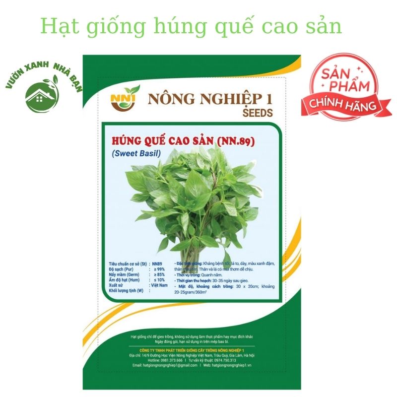 Hạt giống húng quế cao sản 5gram - học viện nông nghiệp việt nam