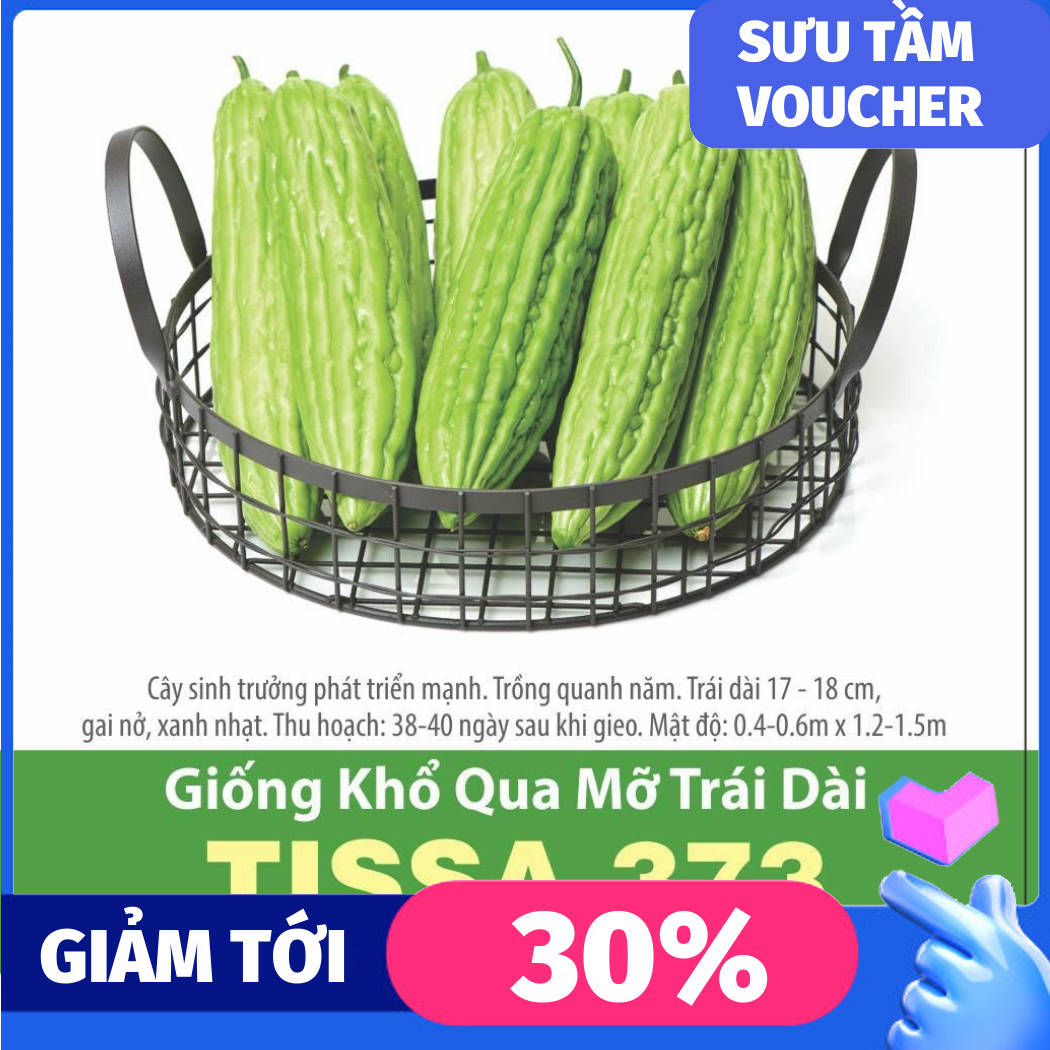 Hạt giống khổ qua mỡ trái dài