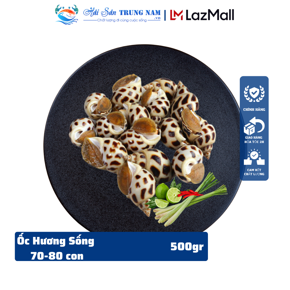 Ốc Hương Size Lớn 90-100 con Giao Sống 2H