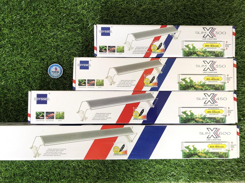 Đèn Led Odyssea Slim X 600 - ánh sáng 10000k