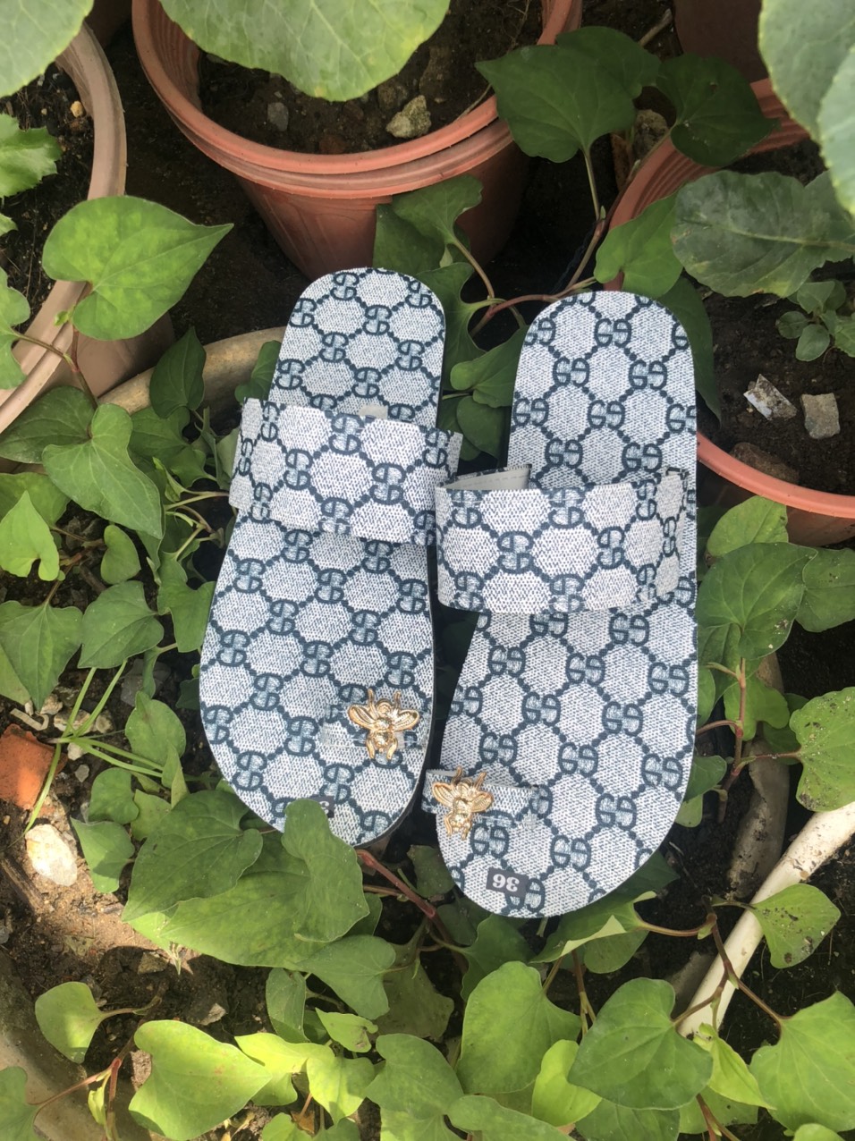 Dép sỏ ngón nữ sandal chip chip màu xanh gg
