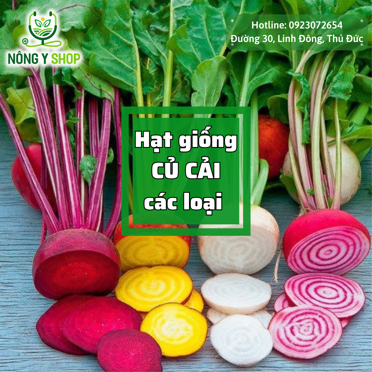 Hạt giống các loại củ cải Rạng Đông, củ cải trắng, củ cải đỏ dài, củ cải đỏ tròn baby, gói lớn, gói trồng thử