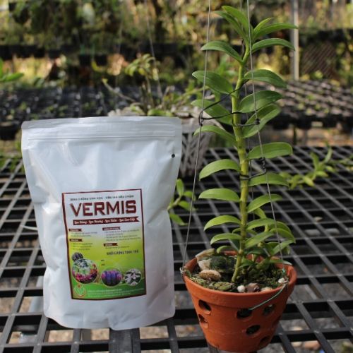 phân trùn quế dạng nén viên cho hoa lan tan siêu chậm vermis