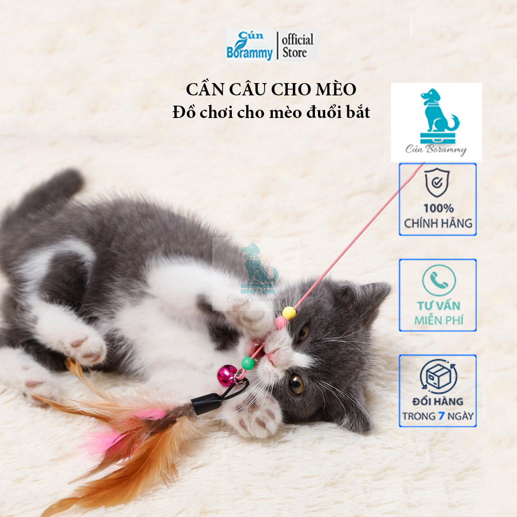 Đồ chơi cho mèo - Cần câu mèo